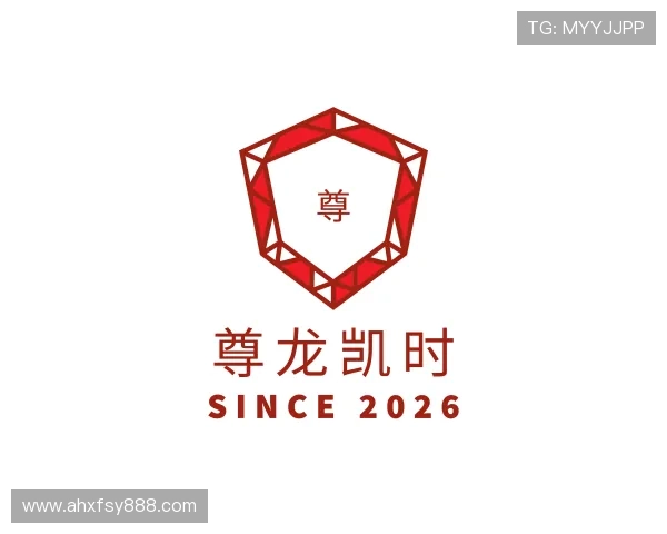 介绍尊龙凯时